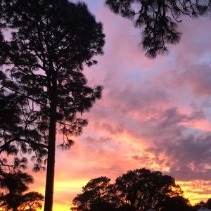 Meet your Posher, Marilyn